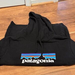 Patagonia Hoodies with Vibrant Logo